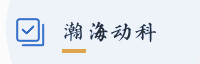 合作伙伴
